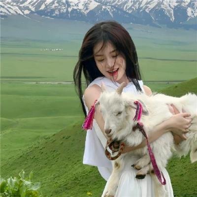 夺命穿心/沉默的进击