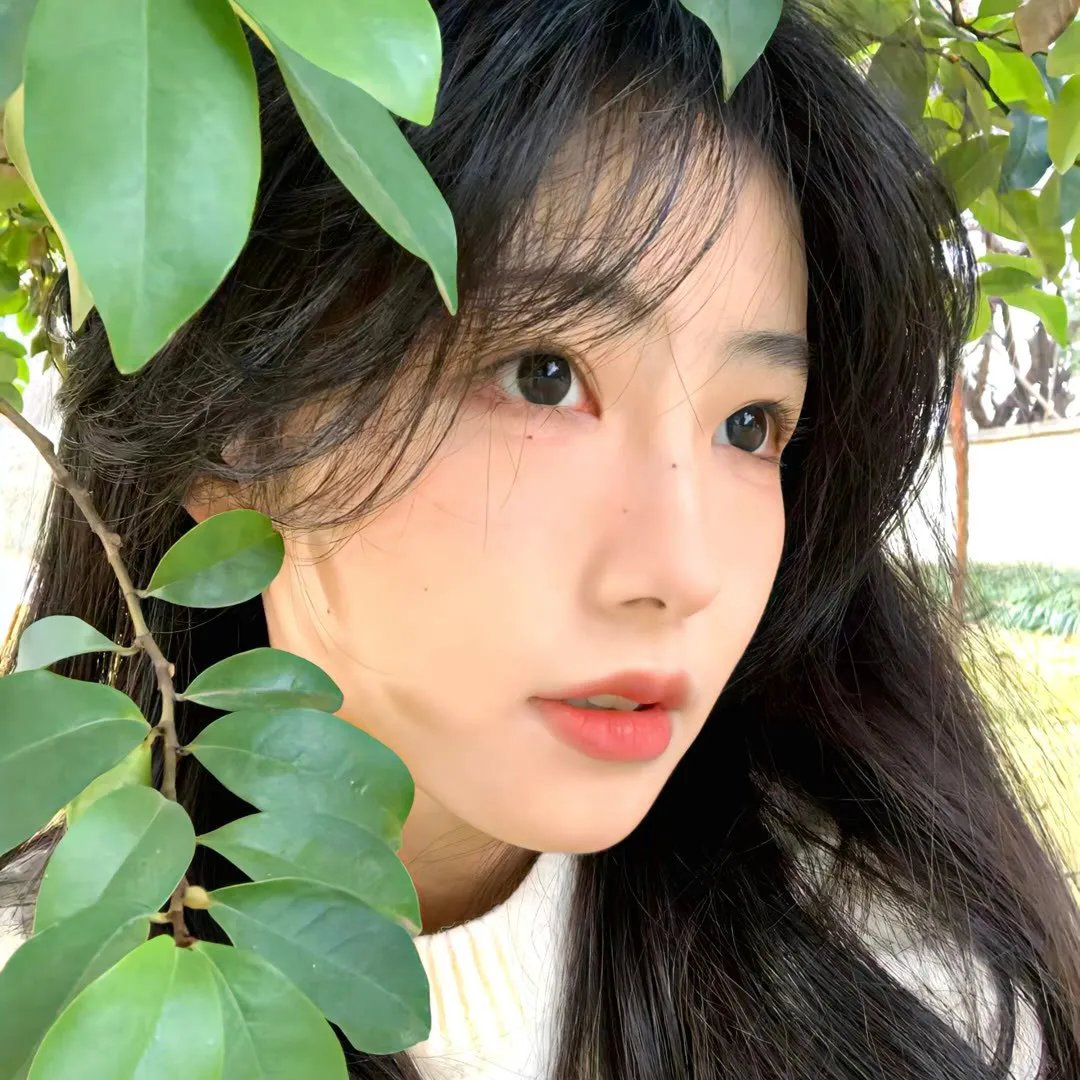 马丁之歌